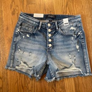NWT Judy Blue, brand new distressed jean shorts. Size Large.